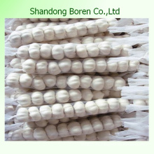 2015 Orgánico chino fresco blanco ajo pelado de granel